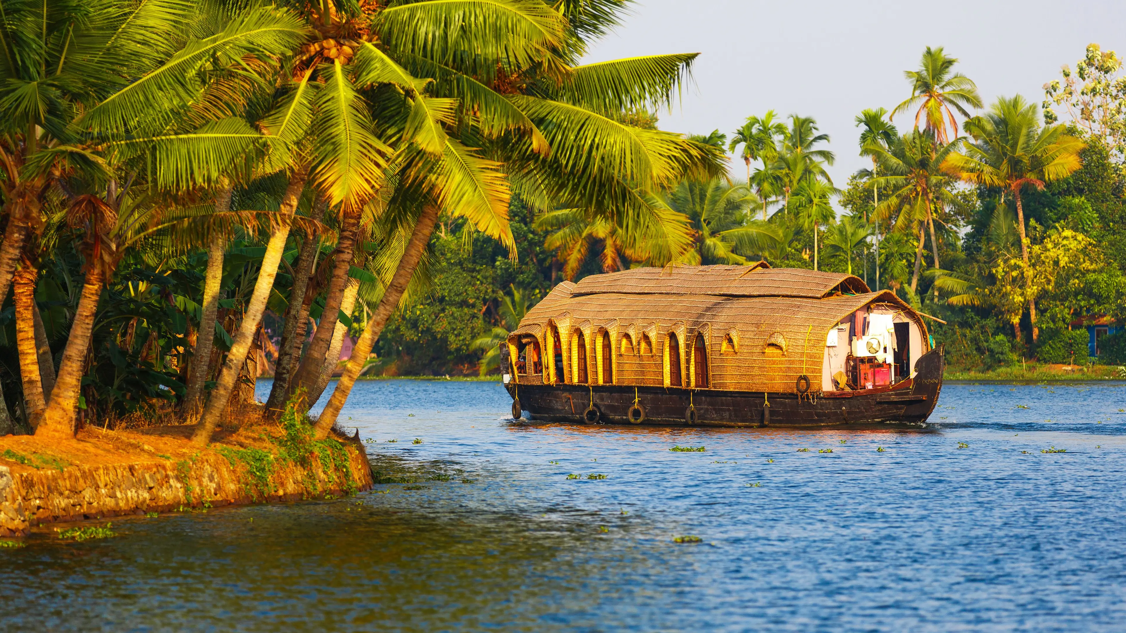 Kerala backwaters with houseboat and palm trees